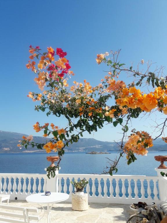 The Admiral's House Kastellorizo room 6